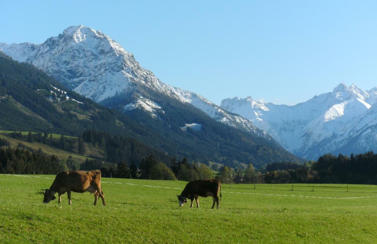 Ferienwohnungen Bernie Schmid Sonthofen Bagian luar foto